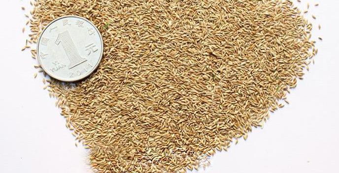 長沙東日?qǐng)@林工程有限公司,長沙園林綠化工程,長沙綠化養(yǎng)護(hù)管理